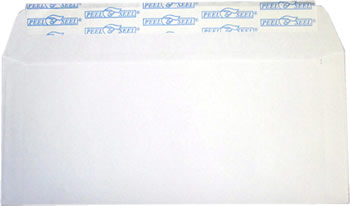 standard envelope template